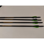 Gold Tip Ultra light pro 300