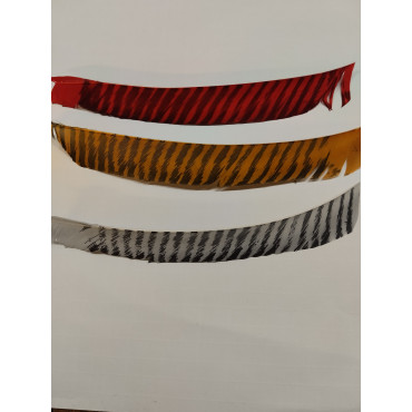 10" vágatlan balos csíkos pulyka toll